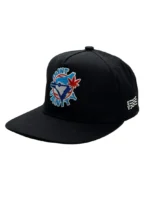 SV Blue Bird Snapback
