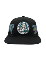 Vain Life Ducks Snapback Snapback