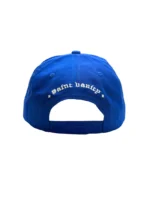 Blue & Red Griffin Snapback