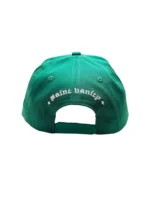 Green & Yellow Griffin Snapback